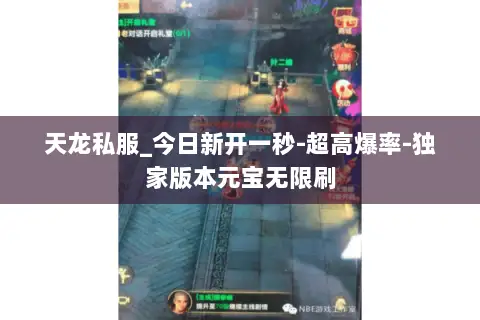 天龙私服_今日新开一秒-超高爆率-独家版本元宝无限刷