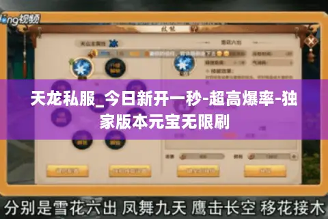 天龙私服_今日新开一秒-超高爆率-独家版本元宝无限刷