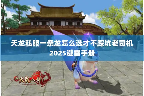 天龙私服一条龙怎么选才不踩坑老司机2025避雷手册 天龙私服一条龙怎么选才不踩坑老司机2025避雷手册