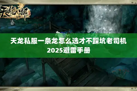天龙私服一条龙怎么选才不踩坑老司机2025避雷手册 天龙私服一条龙怎么选才不踩坑老司机2025避雷手册