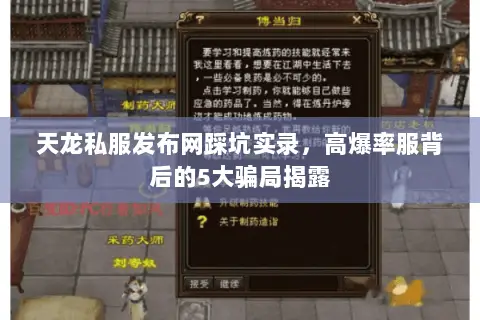 天龙私服发布网踩坑实录,高爆率服背后的5大骗局揭露 天龙私服发布网踩坑实录,高爆率服背后的5大骗局揭露