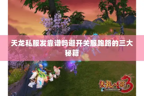 天龙私服发靠谱吗避开关服跑路的三大秘籍