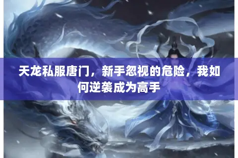 天龙私服唐门,新手忽视的危险,我如何逆袭成为高手 天龙私服唐门,新手忽视的危险,我如何逆袭成为高手