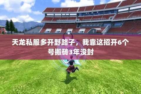 天龙私服多开野路子，我靠这招开6个号搬砖3年没封
