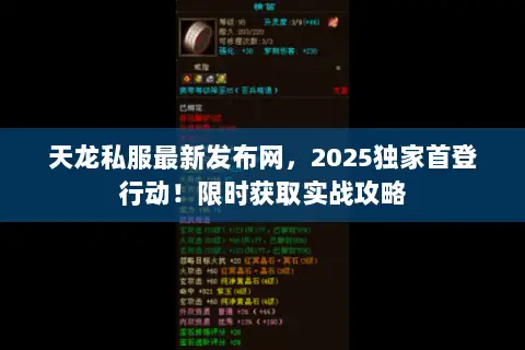 天龙私服最新发布网,2025独家首登行动!限时获取实战攻略 天龙私服最新发布网,2025独家首登行动!限时获取实战攻略