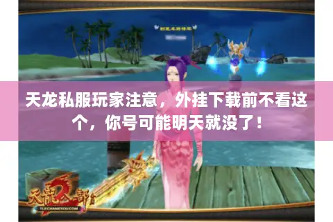 天龙私服玩家注意，外挂下载前不看这个，你号可能明天就没了！