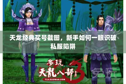 天龙经典买号截图,新手如何一眼识破私服陷阱 天龙经典买号截图,新手如何一眼识破私服陷阱
