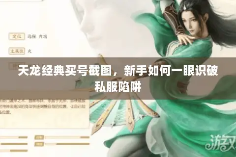 天龙经典买号截图,新手如何一眼识破私服陷阱 天龙经典买号截图,新手如何一眼识破私服陷阱
