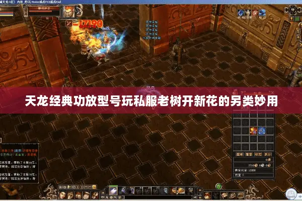 天龙经典功放型号玩私服老树开新花的另类妙用