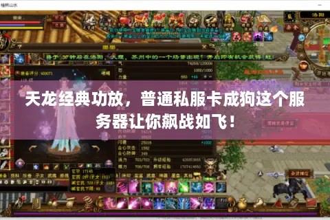 天龙经典功放,普通私服卡成狗这个服务器让你飙战如飞! 天龙经典功放,普通私服卡成狗这个服务器让你飙战如飞!