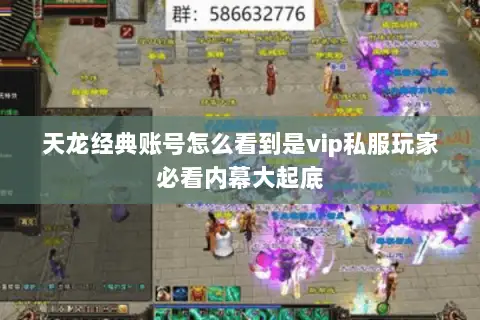 天龙经典账号怎么看到是vip私服玩家必看内幕大起底 天龙经典账号怎么看到是vip私服玩家必看内幕大起底