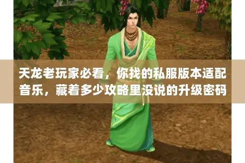 天龙老玩家必看,你找的私服版本适配音乐,藏着多少攻略里没说的升级密码 天龙老玩家必看,你找的私服版本适配音乐,藏着多少攻略里没说的升级密码