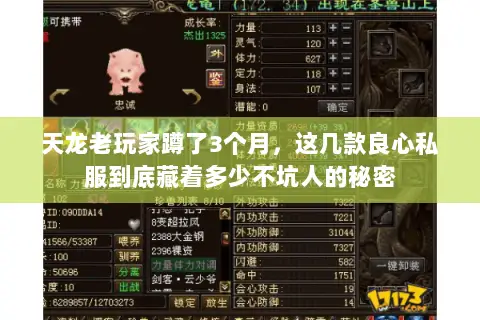 天龙老玩家蹲了3个月,这几款良心私服到底藏着多少不坑人的秘密 天龙老玩家蹲了3个月,这几款良心私服到底藏着多少不坑人的秘密