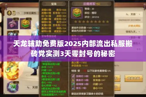 天龙辅助免费版2025内部流出私服搬砖党实测3天零封号的秘密 天龙辅助免费版2025内部流出私服搬砖党实测3天零封号的秘密