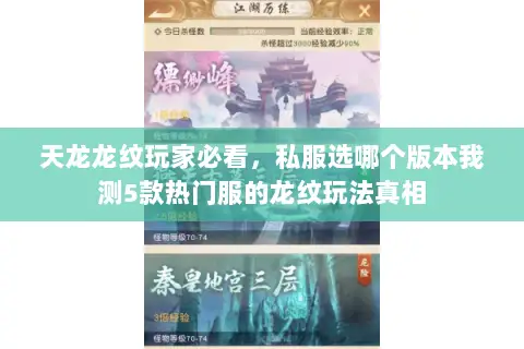 天龙龙纹玩家必看,私服选哪个版本我测5款热门服的龙纹玩法真相 天龙龙纹玩家必看,私服选哪个版本我测5款热门服的龙纹玩法真相