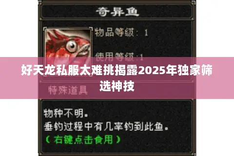 好天龙私服太难挑揭露2025年独家筛选神技 好天龙私服太难挑揭露2025年独家筛选神技