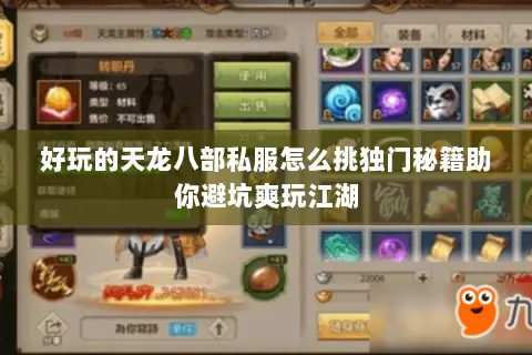 好玩的天龙八部私服怎么挑独门秘籍助你避坑爽玩江湖