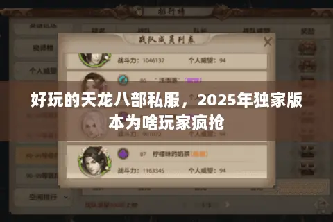 好玩的天龙八部私服,2025年独家版本为啥玩家疯抢 好玩的天龙八部私服,2025年独家版本为啥玩家疯抢