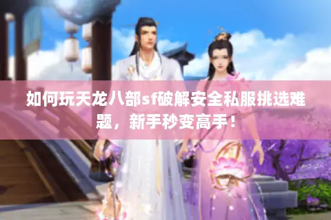 如何玩天龙八部sf破解安全私服挑选难题，新手秒变高手！
