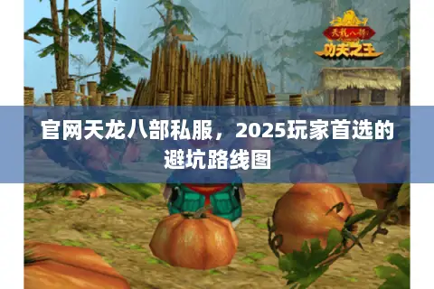 官网天龙八部私服,2025玩家首选的避坑路线图 官网天龙八部私服,2025玩家首选的避坑路线图