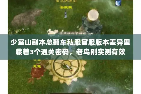 少室山副本总翻车私服官服版本差异里藏着3个通关密码,老鸟刚实测有效 少室山副本总翻车私服官服版本差异里藏着3个通关密码,老鸟刚实测有效