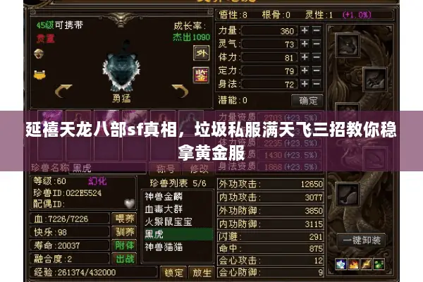 延禧天龙八部sf真相,垃圾私服满天飞三招教你稳拿黄金服 延禧天龙八部sf真相,垃圾私服满天飞三招教你稳拿黄金服