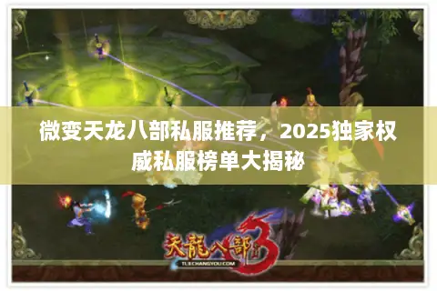 微变天龙八部私服推荐，2025独家权威私服榜单大揭秘