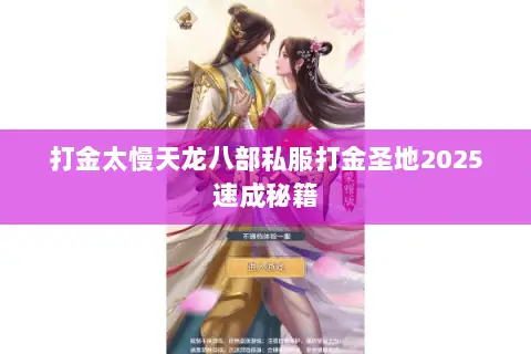打金太慢天龙八部私服打金圣地2025速成秘籍