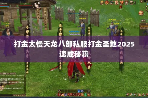 打金太慢天龙八部私服打金圣地2025速成秘籍