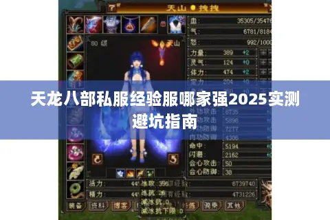 天龙八部私服经验服哪家强2025实测避坑指南 天龙八部私服经验服哪家强2025实测避坑指南