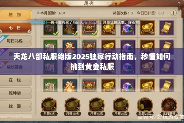 天龙八部私服绝版2025独家行动指南，秒懂如何挑到黄金私服