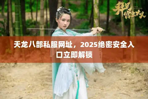 天龙八部私服网址，2025绝密安全入口立即解锁