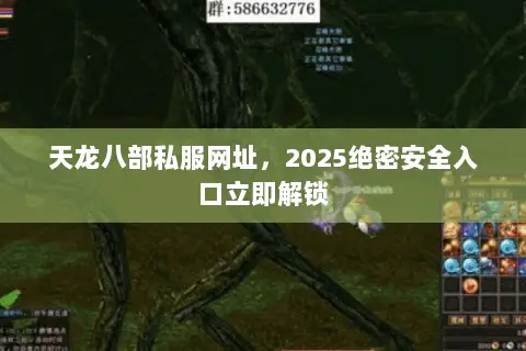 天龙八部私服网址，2025绝密安全入口立即解锁