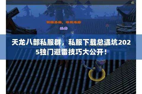 天龙八部私服群，私服下载总遇坑2025独门避雷技巧大公开！