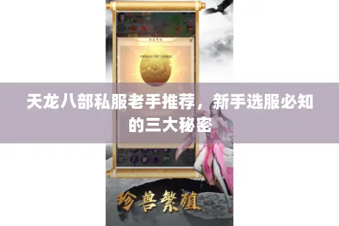 天龙八部私服老手推荐,新手选服必知的三大秘密 天龙八部私服老手推荐,新手选服必知的三大秘密