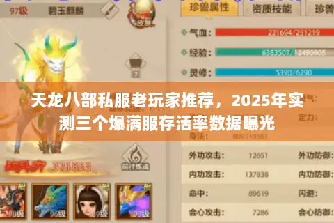 天龙八部私服老玩家推荐,2025年实测三个爆满服存活率数据曝光 天龙八部私服老玩家推荐,2025年实测三个爆满服存活率数据曝光
