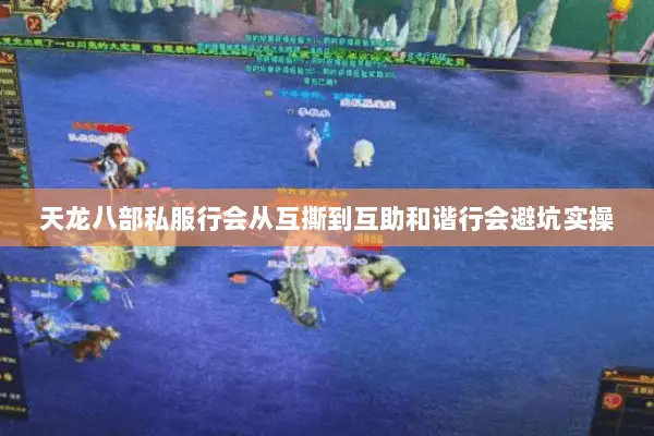 天龙八部私服行会从互撕到互助和谐行会避坑实操 天龙八部私服行会从互撕到互助和谐行会避坑实操