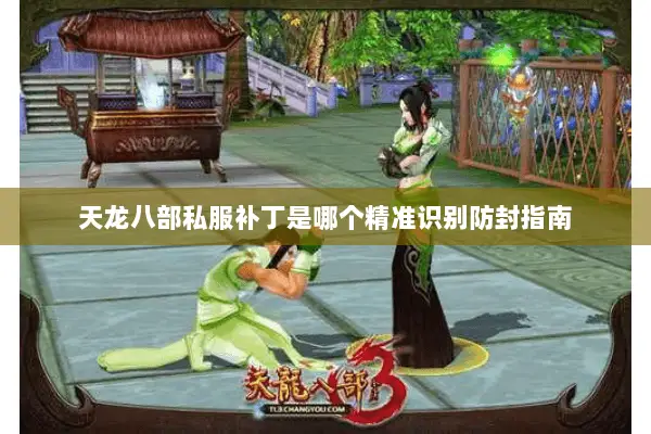 天龙八部私服补丁是哪个精准识别防封指南 天龙八部私服补丁是哪个精准识别防封指南
