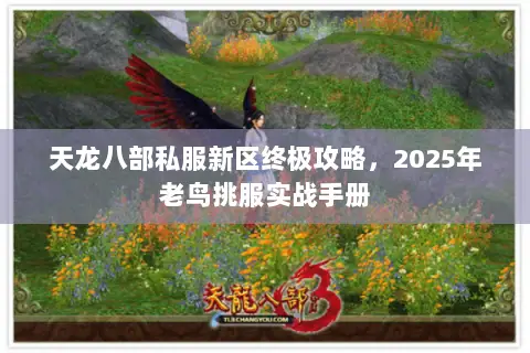 天龙八部私服新区终极攻略,2025年老鸟挑服实战手册 天龙八部私服新区终极攻略,2025年老鸟挑服实战手册
