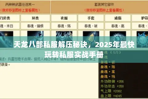 天龙八部私服解压秘诀,2025年最快玩转私服实战手册 天龙八部私服解压秘诀,2025年最快玩转私服实战手册