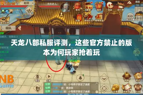 天龙八部私服评测,这些官方禁止的版本为何玩家抢着玩 天龙八部私服评测,这些官方禁止的版本为何玩家抢着玩