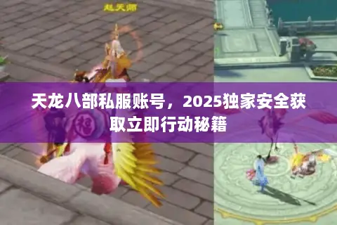 天龙八部私服账号，2025独家安全获取立即行动秘籍