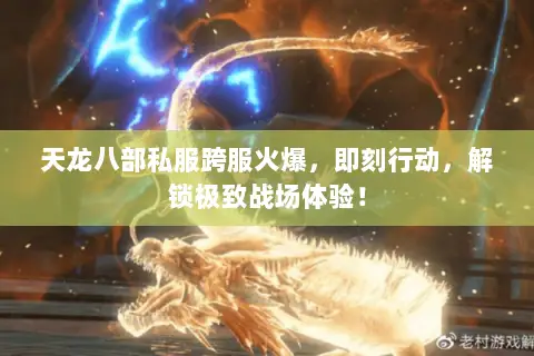 天龙八部私服跨服火爆，即刻行动，解锁极致战场体验！