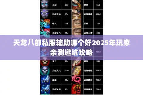 天龙八部私服辅助哪个好2025年玩家亲测避坑攻略 天龙八部私服辅助哪个好2025年玩家亲测避坑攻略