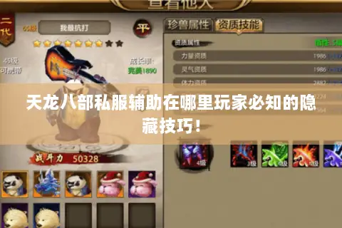 天龙八部私服辅助在哪里玩家必知的隐藏技巧！