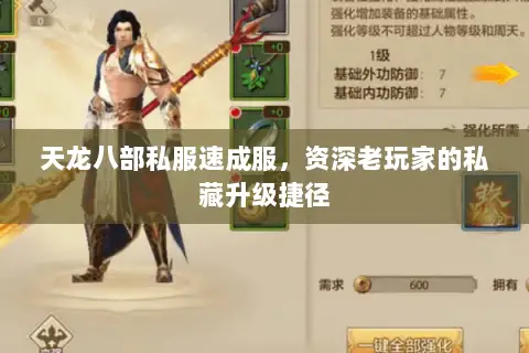 天龙八部私服速成服,资深老玩家的私藏升级捷径 天龙八部私服速成服,资深老玩家的私藏升级捷径