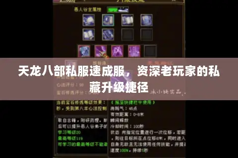 天龙八部私服速成服,资深老玩家的私藏升级捷径 天龙八部私服速成服,资深老玩家的私藏升级捷径