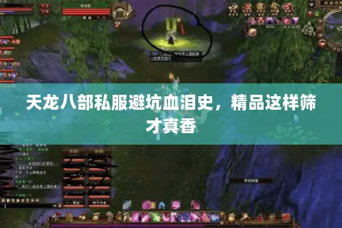 天龙八部私服避坑血泪史,精品这样筛才真香 天龙八部私服避坑血泪史,精品这样筛才真香