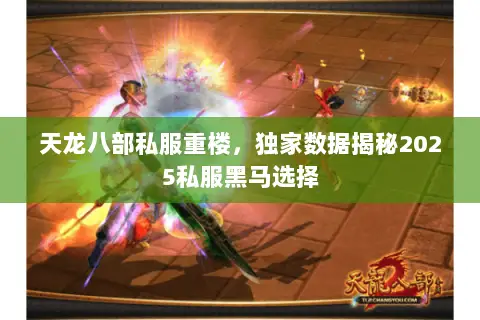 天龙八部私服重楼,独家数据揭秘2025私服黑马选择 天龙八部私服重楼,独家数据揭秘2025私服黑马选择