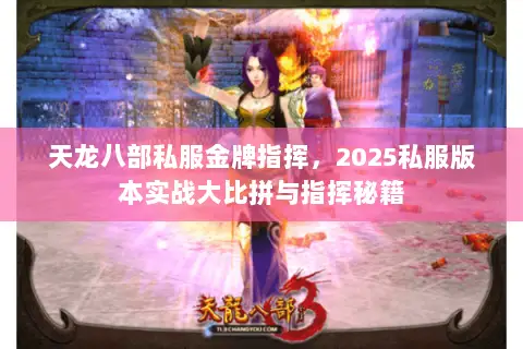 天龙八部私服金牌指挥，2025私服版本实战大比拼与指挥秘籍